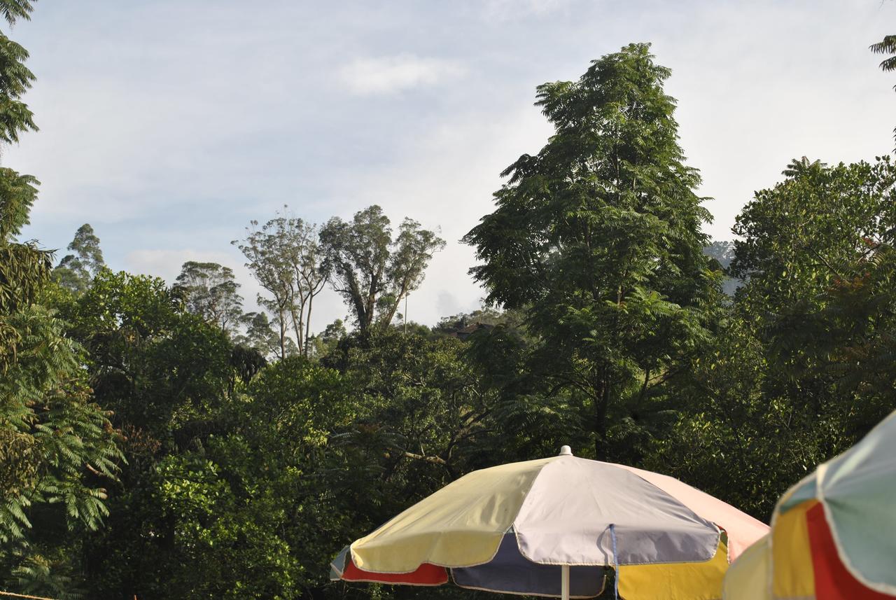 Mountain Villa Adam'S Peak Nallathanniya Kültér fotó